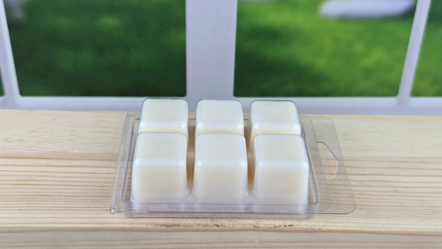 Starfruit & Kiwi -- 100% Soy Wax Melts - 2.5 oz - 6 cubes