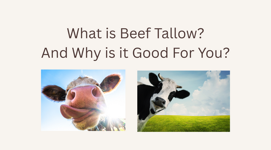 What is Beef Tallow and Why it's Great for Your Skin