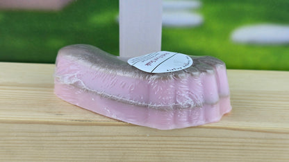 Pedi Foot Soak 4.5 oz and Bar Soap 5 oz