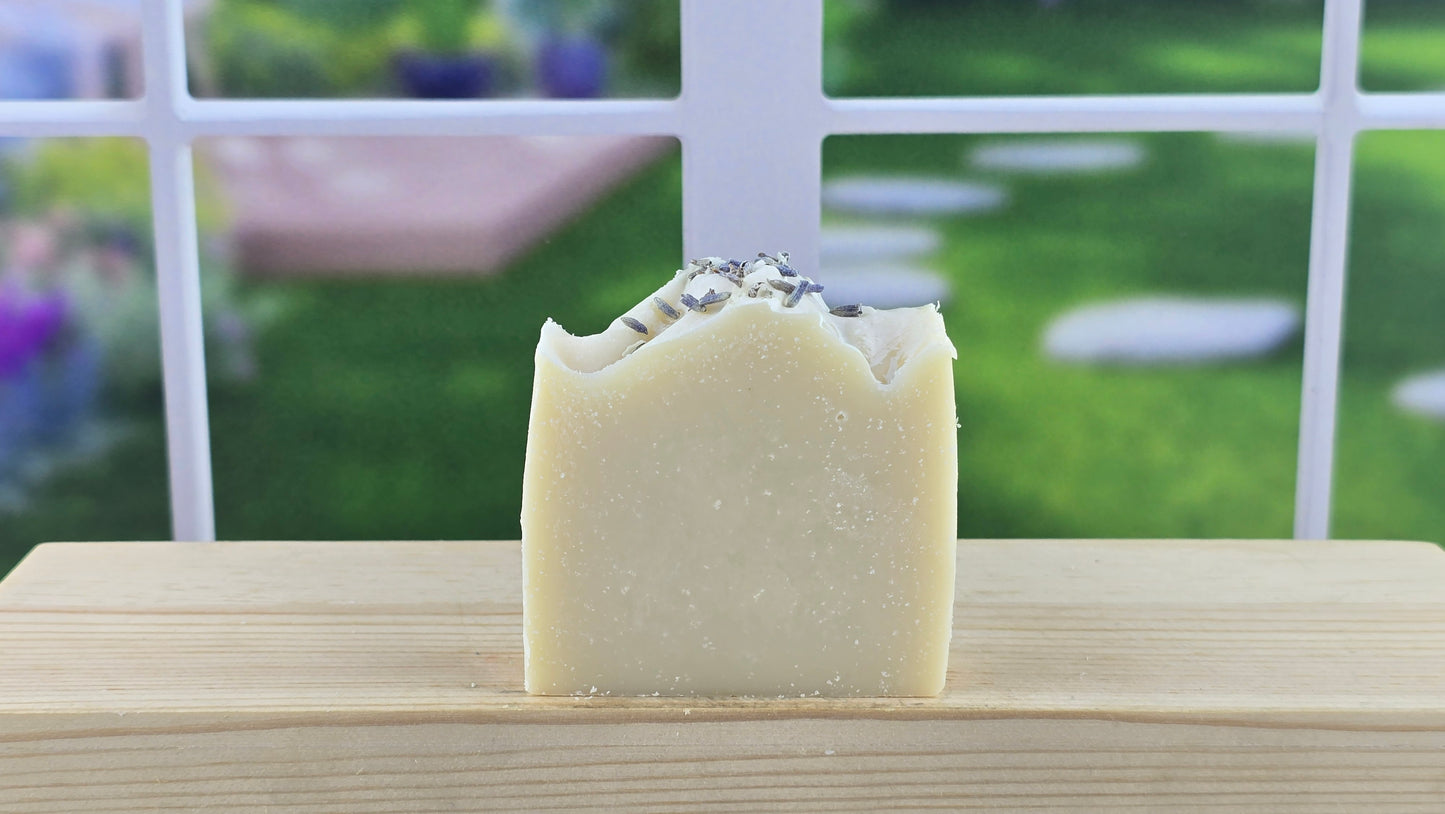 A bar of handmade lavender tallow soap with real lavender buds on top, placed on a wooden surface with a bright window in the background.