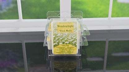 Meadowlight wax melts packaging on a clear stand with a window background