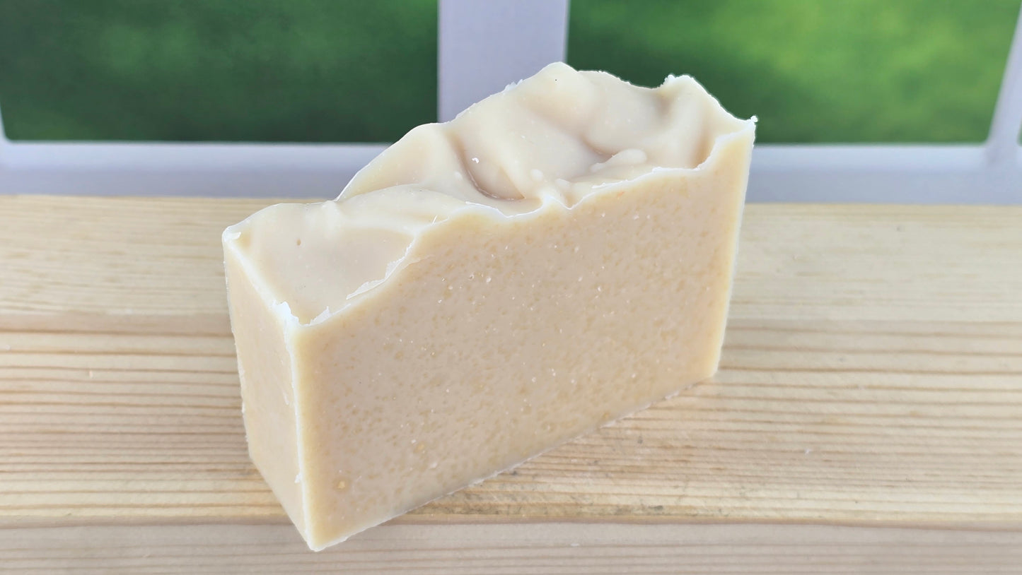 Top view of Plain Jane Bar of soap 