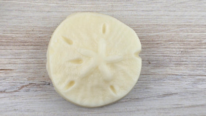 Solid Lotion Bar - Island Bloom Balm laying flat